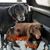 Kristin Ertl-Novick's profile image