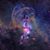 Disty Mancillas's profile image