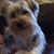 Barbara Eason's profile image