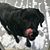 David Jernigan's profile image