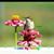 Kathy Bridges Burk's profile image