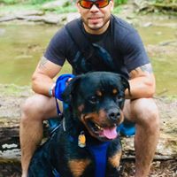 Lisa Feliciano's profile image