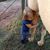 Sarah Harouff James's profile image