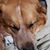 Debbie Marvin's profile image
