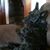Laurie Bargar Fast's profile image