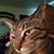 Kay Barton's profile image