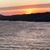 Shelley Morris Joyce's profile image