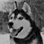 Heather Pettit's profile image