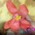 Caitlynn McPherson's profile image