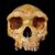 Nehemiah C. Rodriguez's profile image