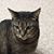 Jessie Sigler Watson's profile image