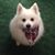 Pat Haehl's profile image