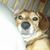 Jared T. Schwert's profile image