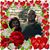 Donna Ardoin's profile image