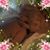 Jenika Freeman Rogers's profile image