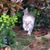 Jessica Kibbey's profile image