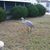 Paula Pittman Boyette's profile image