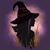 Nicolle Ferrante Napolitano's profile image