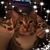 Kris Kucharchuk's profile image
