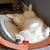 Carol Wendler's profile image