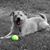 Candice Adkins Pace's profile image