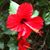 Pamela Peterson's profile image