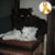 Sonia Sonia's profile image