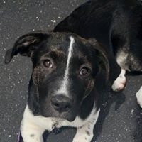 Tyler Kluczny's profile image