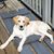 Peggy Brandl's profile image