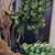 Rhonda Miller's profile image