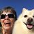 Kathleen Siddall's profile image