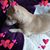 Sharie Sanderson's profile image