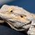 Janet Vinten's profile image