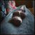 Kate Kennedy's profile image
