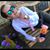 Beckett Cohen's profile image