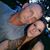 Wes Bybee's profile image