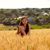 Michelle Vogel's profile image