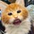 Wendy Attia's profile image
