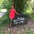 Dawn Allement Cook's profile image