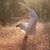Jerilyn Roberts's profile image