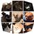 Ruth Rauch Meunier's profile image