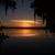 Dawn Mattox's profile image