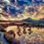 Mike Rodden's profile image