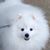 Greg Brookover's profile image