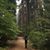 Christopher Patrick Tritschler's profile image