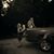 Lynda Martin's profile image