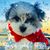 Tonie Goodin's profile image