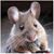Don Johnston's profile image