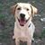 Lulu Hurtt's profile image
