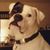 Diana Weir-Smith's profile image
